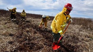 Incendios: Entre Ríos reportó cinco focos activos