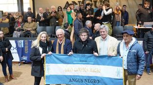 El presidente Javier Milei anunció la baja de las retenciones durante la exposición rural de Palermo.
