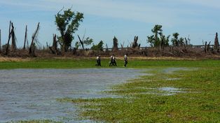 La Isla de los Mástiles se entregó en comodato por partes iguales a Granadero Baigorria y a Capitán Bermúdez en 1997.