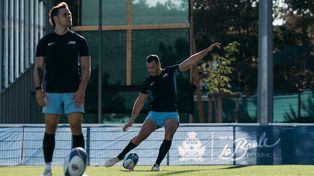 Los Pumas: contando los días para volver a jugar