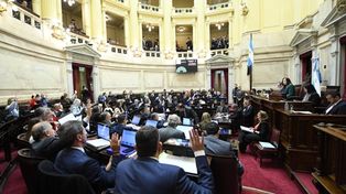 La Cámara de Senadores nacional debate el proyecto de ficha limpia.