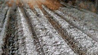 El granizo registrado en el norte entrerriano.