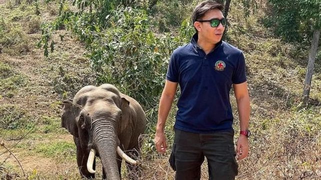 Un elefante reconoció en la selva al veterinario que le salvó la vida hace doce años