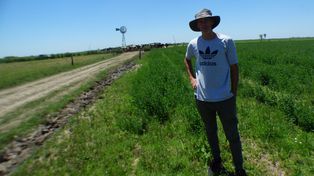 Tambo. Leonardo Aloatti fue el impulsor de una reconversión en el campo familiar de Colonia Tacurales.