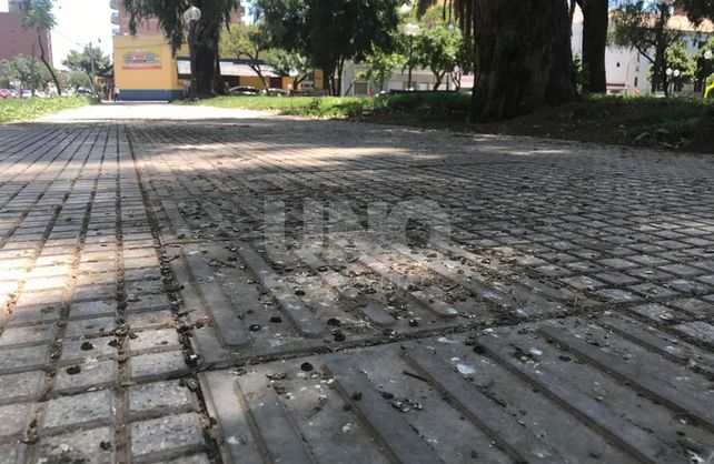 Vereda este