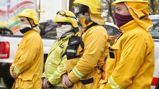 Cómo trabaja la provincia para combatir los incendios intencionales en la zona de islas