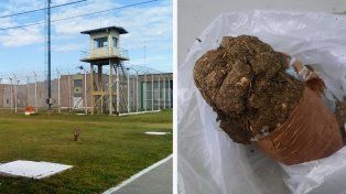 La droga secuestrada en el ingreso a la cárcel de Piñero