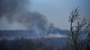 Bordet y los incendios en las islas: Estamos haciendo todo lo necesario