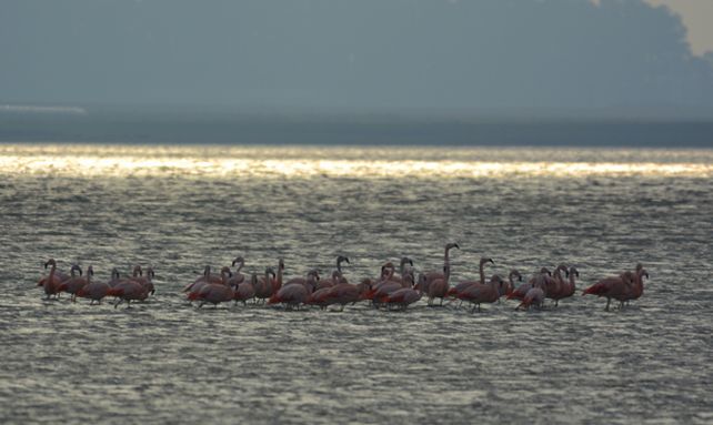 Laguna Melincué, uno de los destinos turísticos por excelencia para este verano. Foto: M. Romano