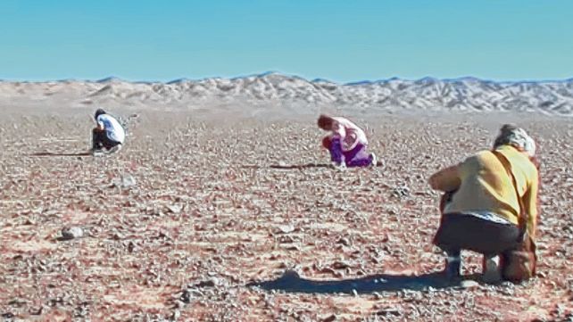 Un puñado de mujeres busca en el desierto de Atacama los huesos de las víctimas de la dictadura de Pinochet.