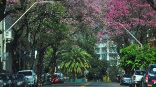 SMN: anuncian un miércoles con máximas de 27° y jueves con lluvias y tormentas