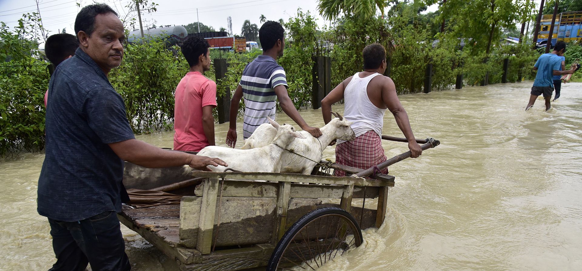 Las personas afectadas por las inundaciones transportan ganado en el distrito de Nalbari, en el estado de Assam, en el noreste de la India, el miércoles 21 de junio de 2023. Decenas de miles de personas se han trasladado a campamentos de socorro y una persona murió arrastrada por las inundaciones causadas por las fuertes lluvias monzónicas que azotaron las zonas de aldeas en el remoto noreste de India esta semana. (Foto AP) Las personas afectadas por las inundaciones transportan ganado en el distrito de Nalbari, en el estado de Assam, en el noreste de la India, el miércoles 21 de junio de 2023. Decenas de miles de personas se han trasladado a campamentos de socorro y una persona murió arrastrada por las inundaciones causadas por las fuertes lluvias monzónicas que azotaron las zonas de aldeas en el remoto noreste de India esta semana. (Foto AP)