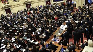 La Cámara de Diputados aprobó por amplia mayoría la ley de fertilización asistida