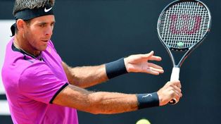 Del Potro se despidió temprano del ATP de Lyon