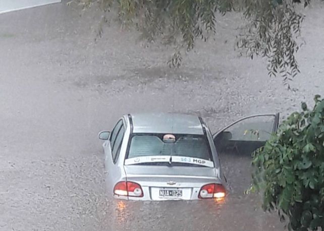 Mar del Plata: cayeron 100 mm en pocas horas y hay más de 100 evacuados
