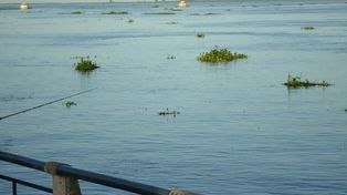 La provincia realiza un permanente monitoreo de la crecida del río Paraná