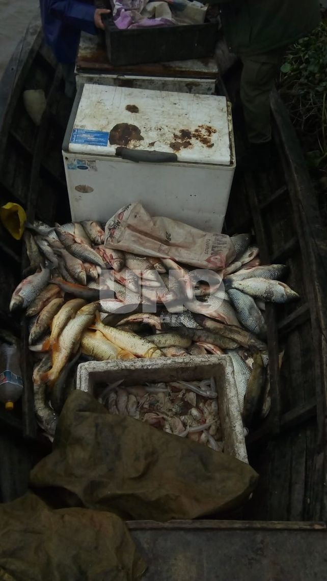 Secuestraron 1.603 pescados depredados en la zona de islas de Santa Fe