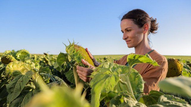Syngenta presenta Las otras plagas.&nbsp;