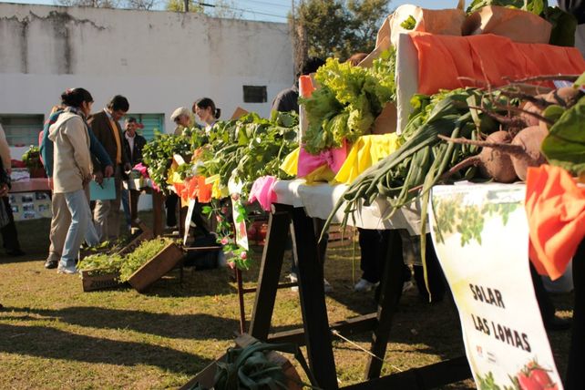 El sábado comienza la Feria Popular de Frutas y Verduras