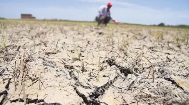 Desde fines de 2024 expertos vienen advirtiendo sobre el desmantelamiento del Servicio Meteorológico Nacional (SMN). La tragedia de Bahía Blanca reflotó el tema