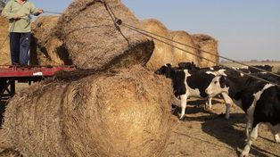 La provincia da respuesta a los productores agropecuarios afectados por la sequía