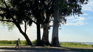 Cómo seguirá el tiempo en Santa Fe a en los próximos meses