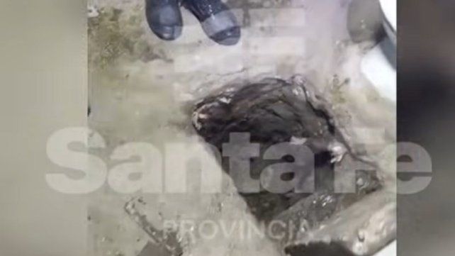 El socavón de 70 centímetros encontrado en los baños de un patio externo del pabellón de alto perfil.