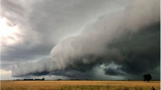 El Niño traerá más lluvias a la región núcleo y desafía al campo a aprovechar cada ventana de trabajo