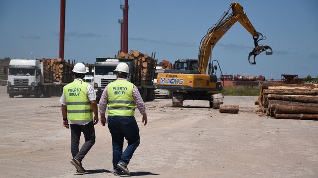 Anuncian que durante 2019 saldrán más de 12 buques con madera desde el Puerto Ibicuy