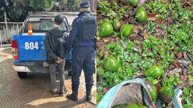Detuvieron a un hombre por robar paltas y escapar por los techos.
