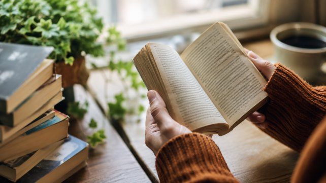 El libro de bolsillo