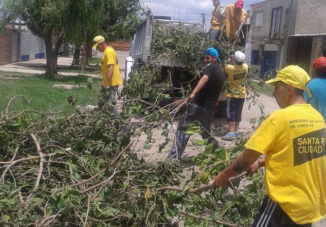A diario. De lunes a viernes