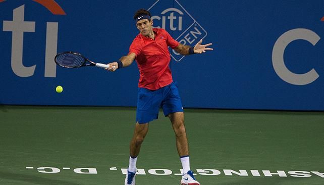 Del Potro cayó ante Nishikori y se despidió de Washington
