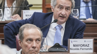 Nicolás Mayoraz, convencional constituyente de La Libertad Avanza.