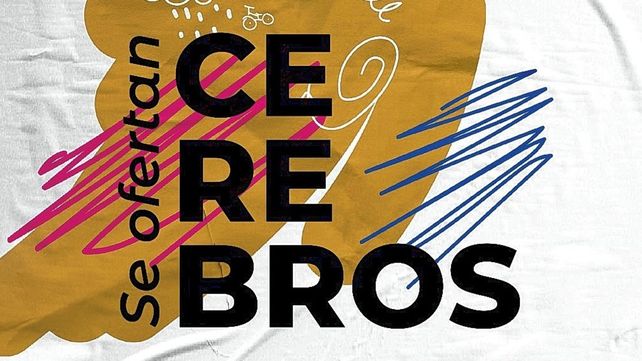 Sobre las redes sociales: Nuestros cerebros pueden ser como el de las palomas Sobre las redes sociales: Nuestros cerebros pueden ser como el de las palomas