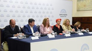 La titular de la Cámara baja, Cecilia Moreau, expuso en el Seminario Ley de Asistencia Social: Enfoques de Derechos, bienestar y justicia social realizado en la Facultad de Ciencias Sociales de la UBA.