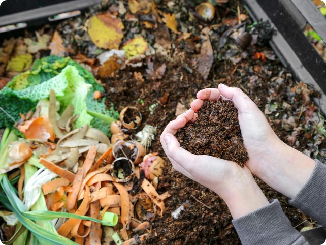 &nbsp;El programa busca generar políticas públicas y promover acciones para el cuidado del ambiente.