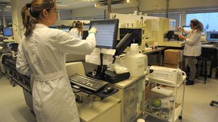El mundo se enfrenta al flagelo de las bacterias resistentes. Salud pública busca minimizar el impacto&nbsp; 