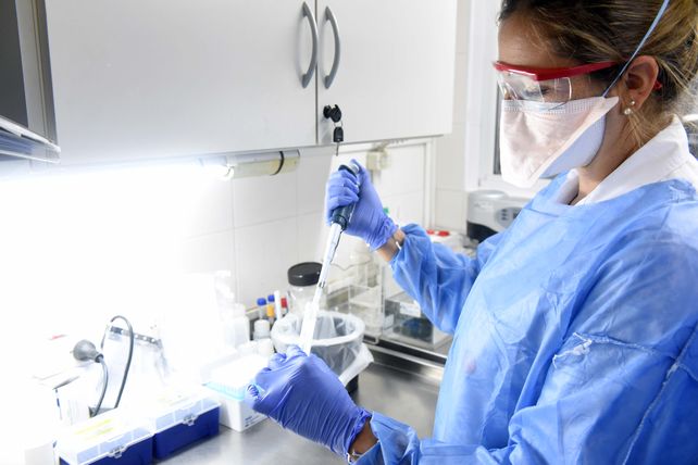 En el laboratorio público del Cemar se analizan por semana unas 30 muestras para confirmar o descartar dengue