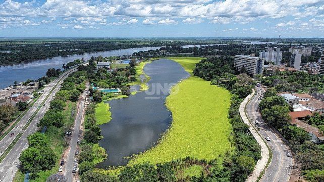 Captura aérea del lago del Parque del Sur cubierto por la planta acuática Pistia Stratiotes.