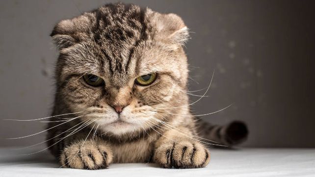 El ranking de los signos más malos del zodíaco