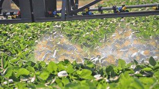 Se inicia un inédito estudio sobre el impacto de los agroquímicos en suelo y agua
