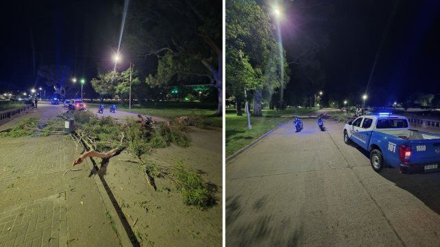 Los ocupantes de dos motos fueron afectados por la caída de la rama de un árbol en la costanera de Victoria. Ninguno tenía el casco reglamentario colocado&nbsp;