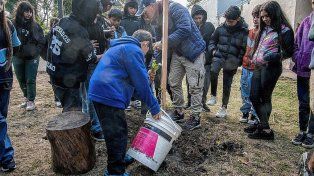 La Municipalidad de Paraná plantó árboles nativos en la Escuela Soler para fortalecer el arbolado urbano