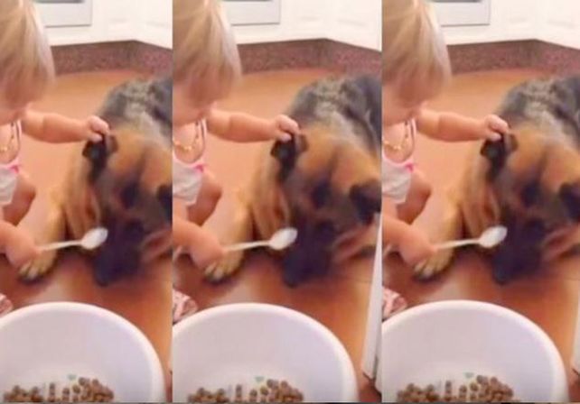 Ella le da de comer a su perro con una cuchara en la boca