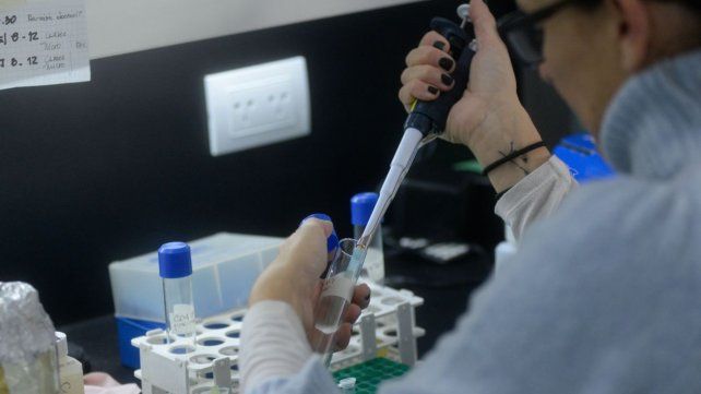 Los bioquímicos de Rosario exigen la suba de los aranceles que perciben y el achicamiento de los plazos de cobro.&nbsp;