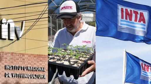 Caputo pasó a disponibilidad 300 trabajadores de INTA, Inase e Instituto Vitivinícola