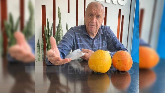 Villa Urquiza: vecino cosechó naranjas ombligo de más de un kilo