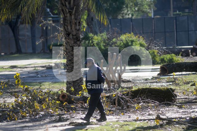 Siguen adelante los trabajos en el Parque Alberdi