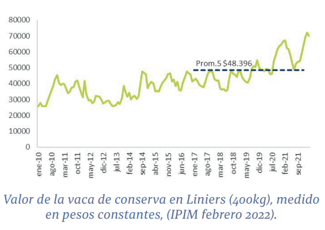 Ganadería: buen momento para reponer vientres